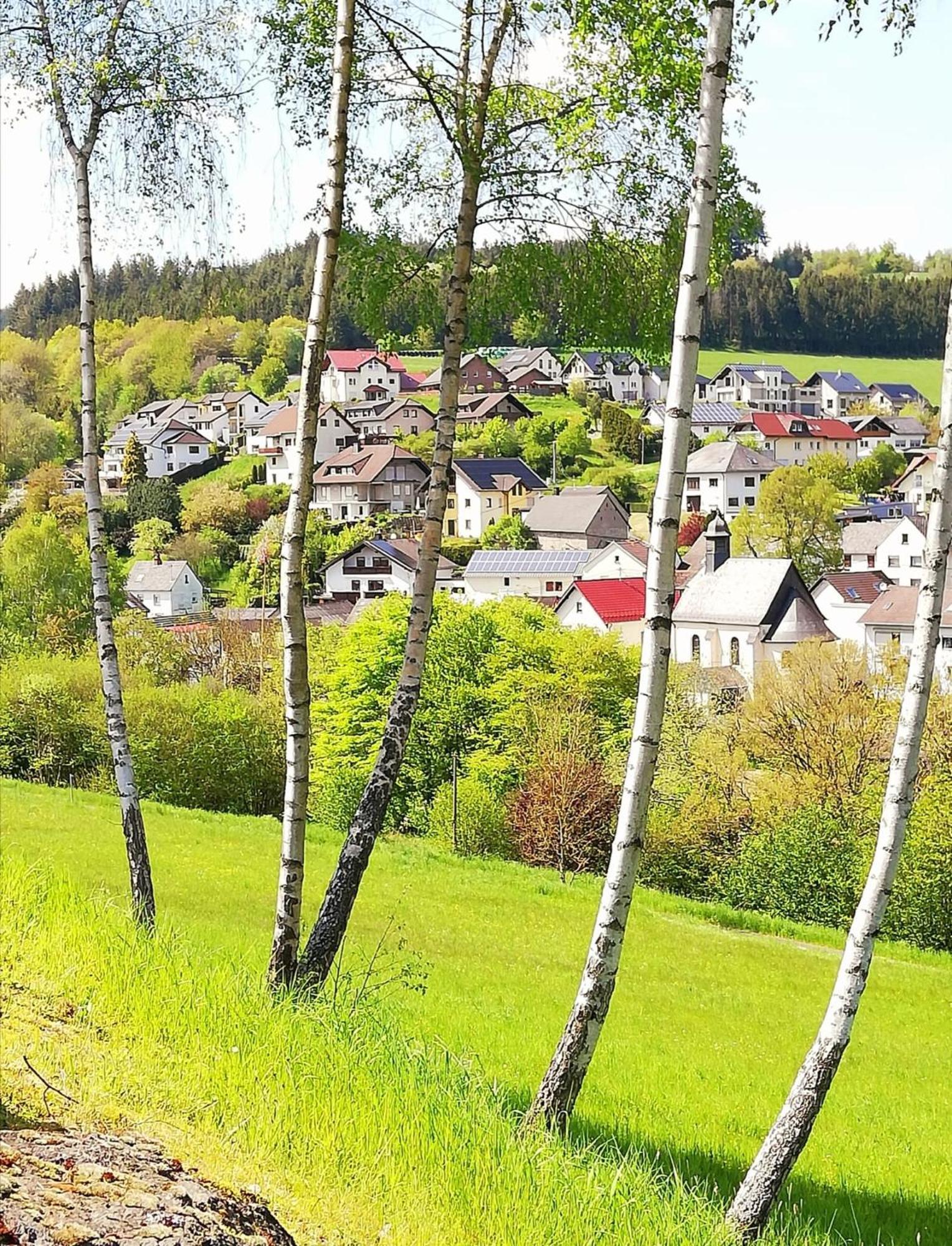 Am Lindenbaum, Ferienwohnung In Siebenbach Am Nuerburgring Zewnętrze zdjęcie
