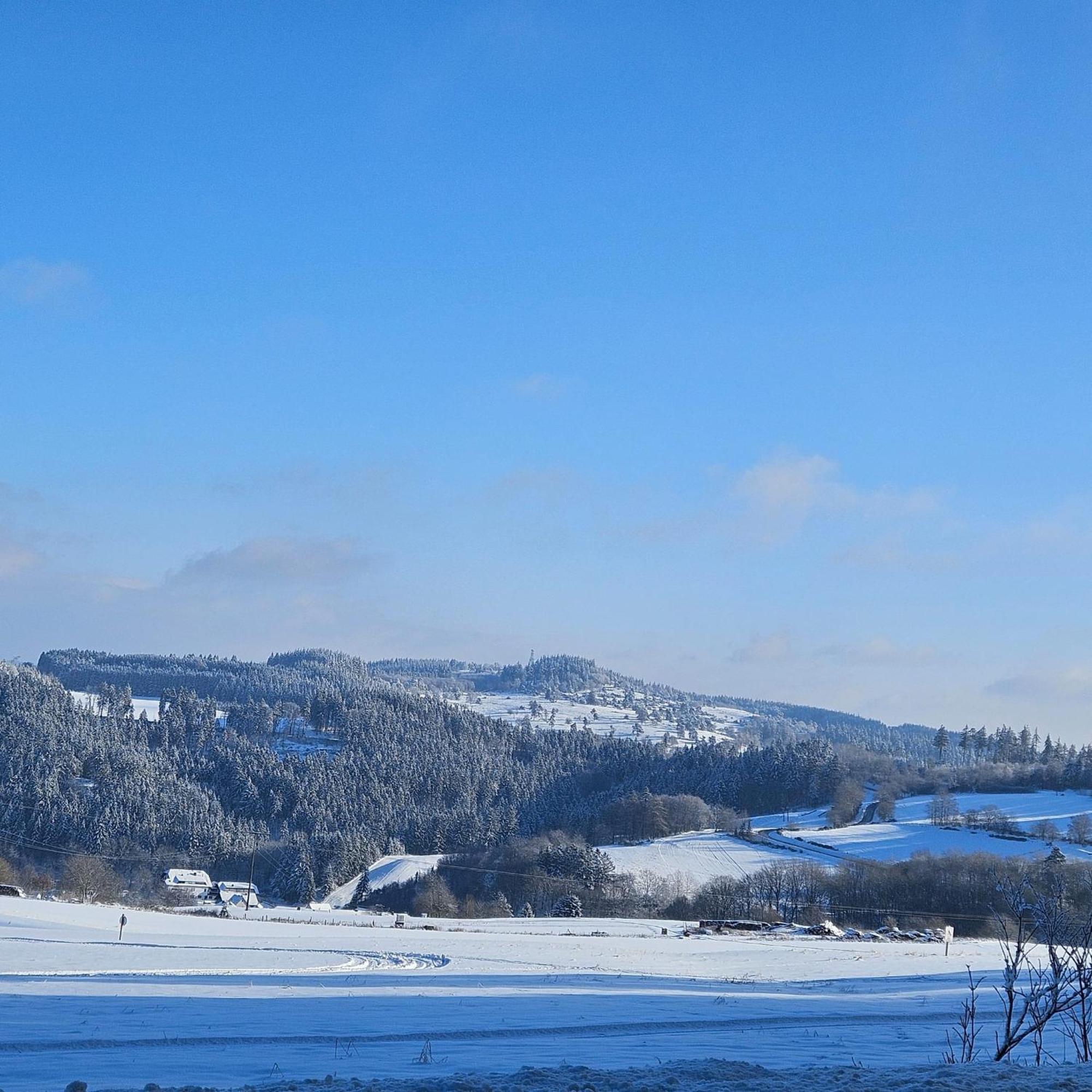 Am Lindenbaum, Ferienwohnung In Siebenbach Am Nuerburgring Zewnętrze zdjęcie