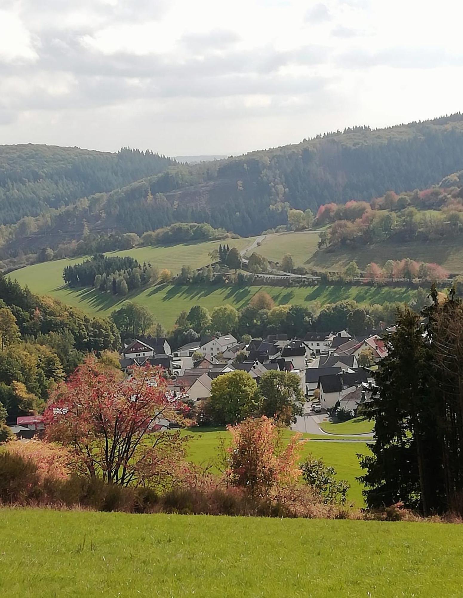 Am Lindenbaum, Ferienwohnung In Siebenbach Am Nuerburgring Zewnętrze zdjęcie